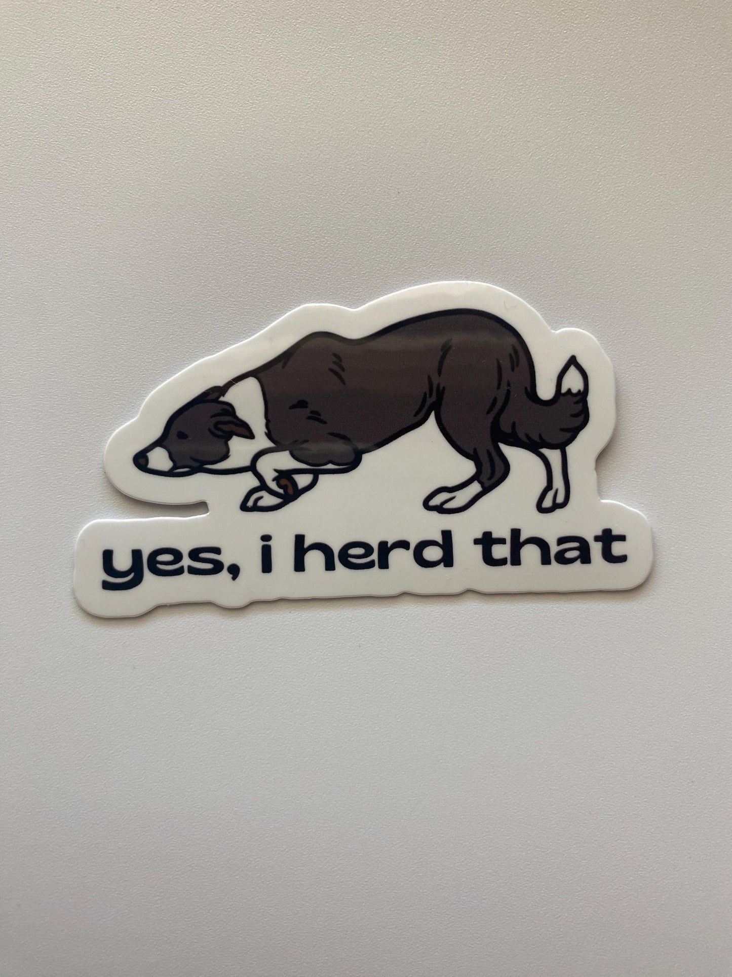 Yes I Herd That Border Collie Sticker