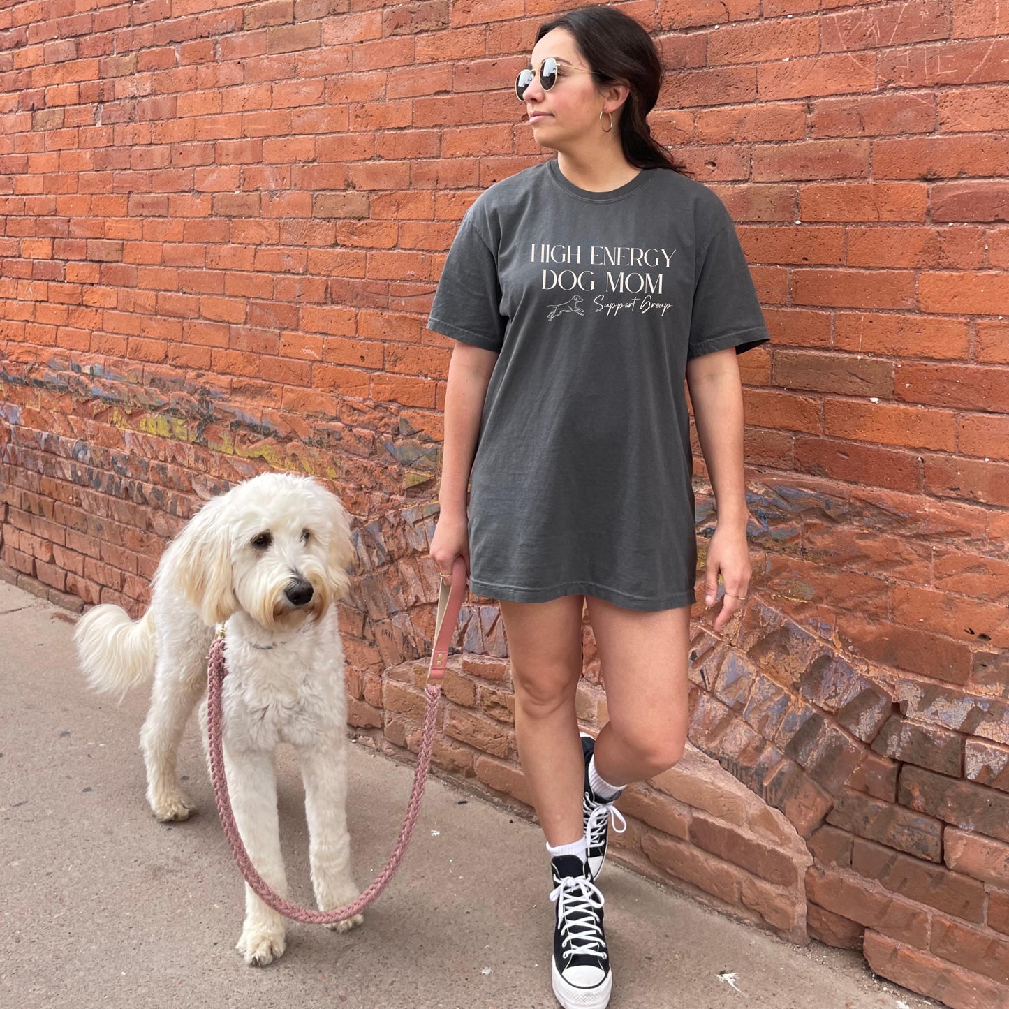 High Energy Dog Mom Support Group T-Shirt
