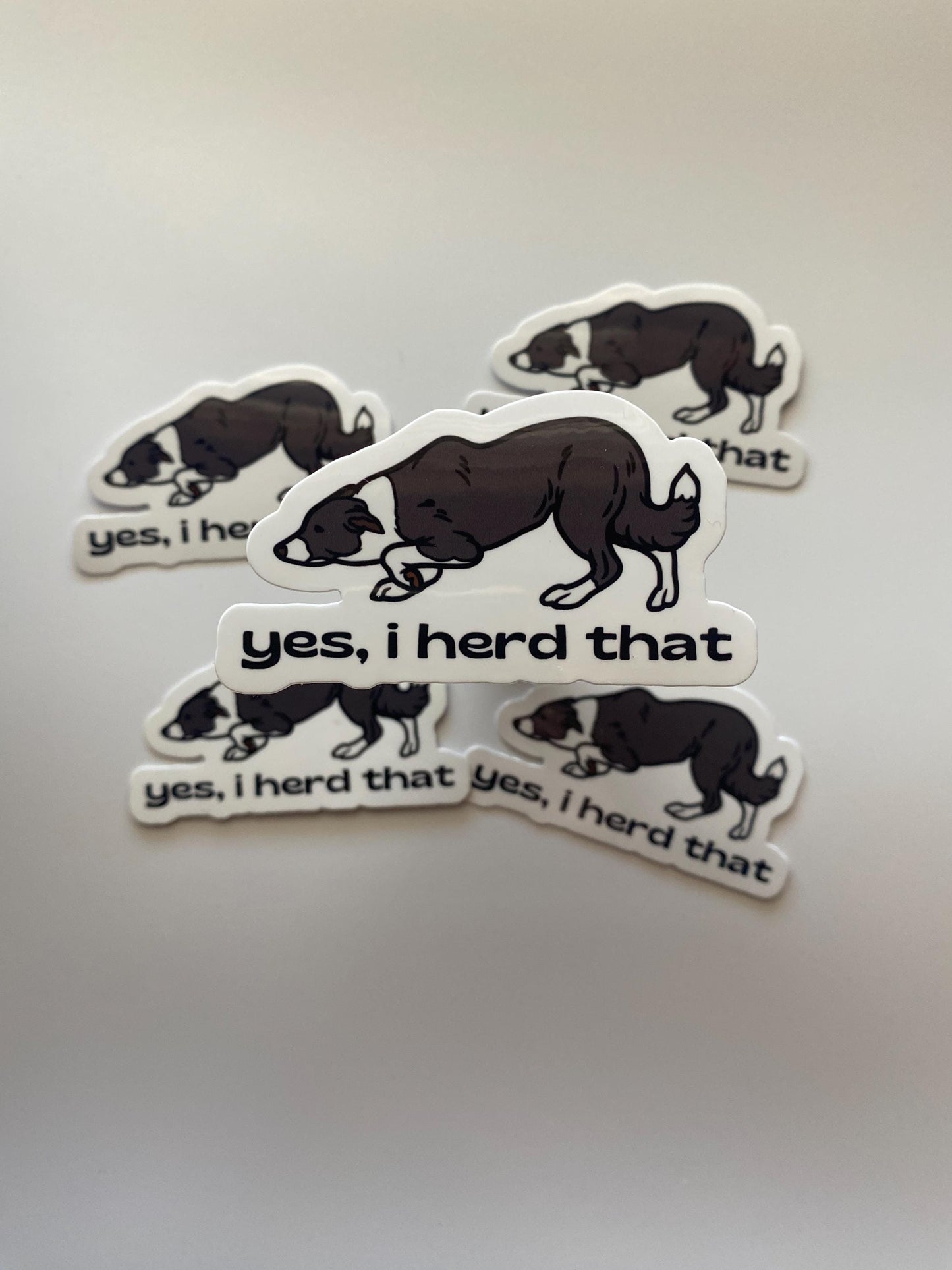Yes I Herd That Border Collie Sticker