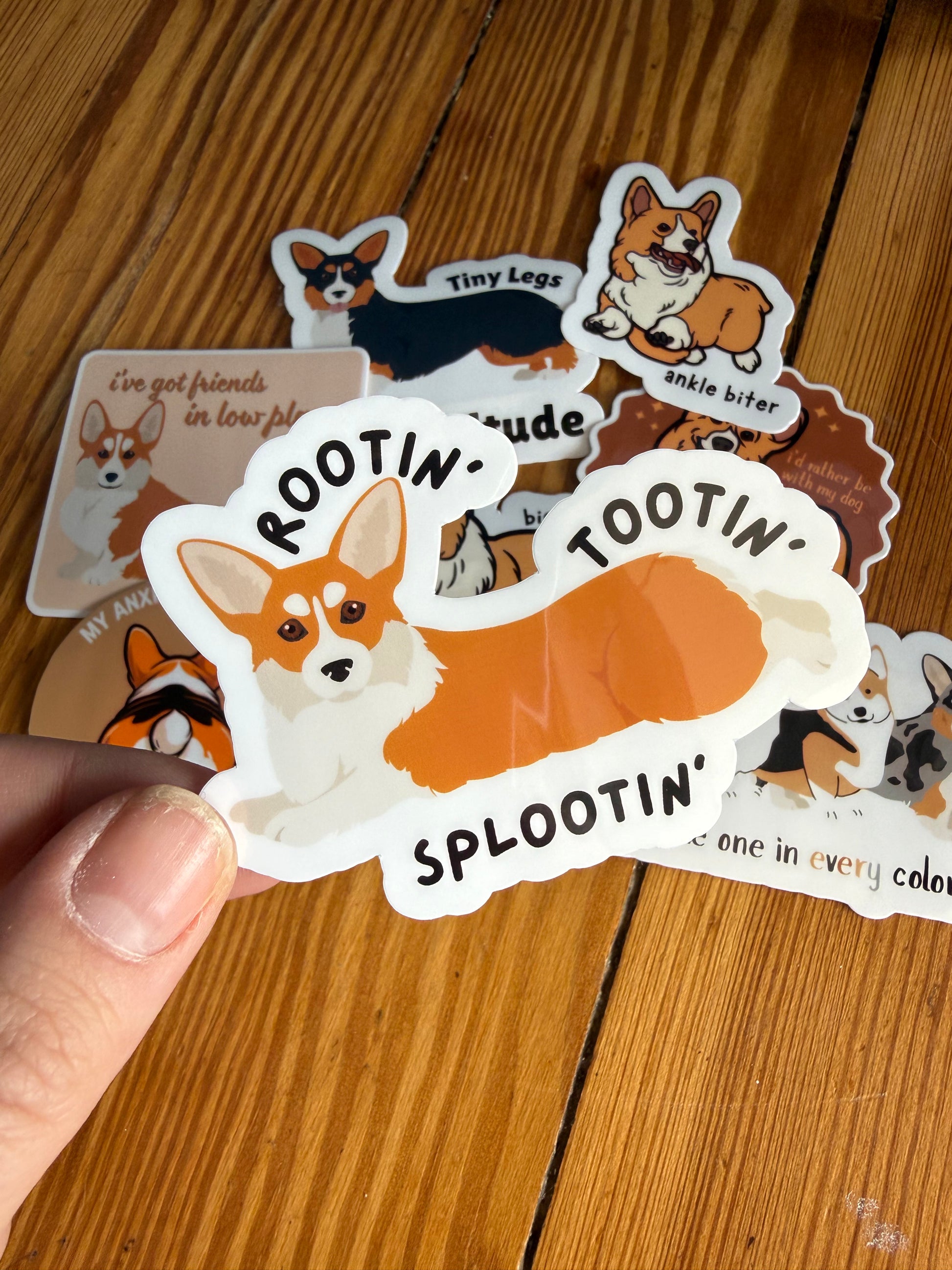 "Rootin', Tootin', Splootin'": A hand holds a sticker of a corgi in a "sploot" position (legs stretched out) with the text "Rootin', tootin', splootin'."