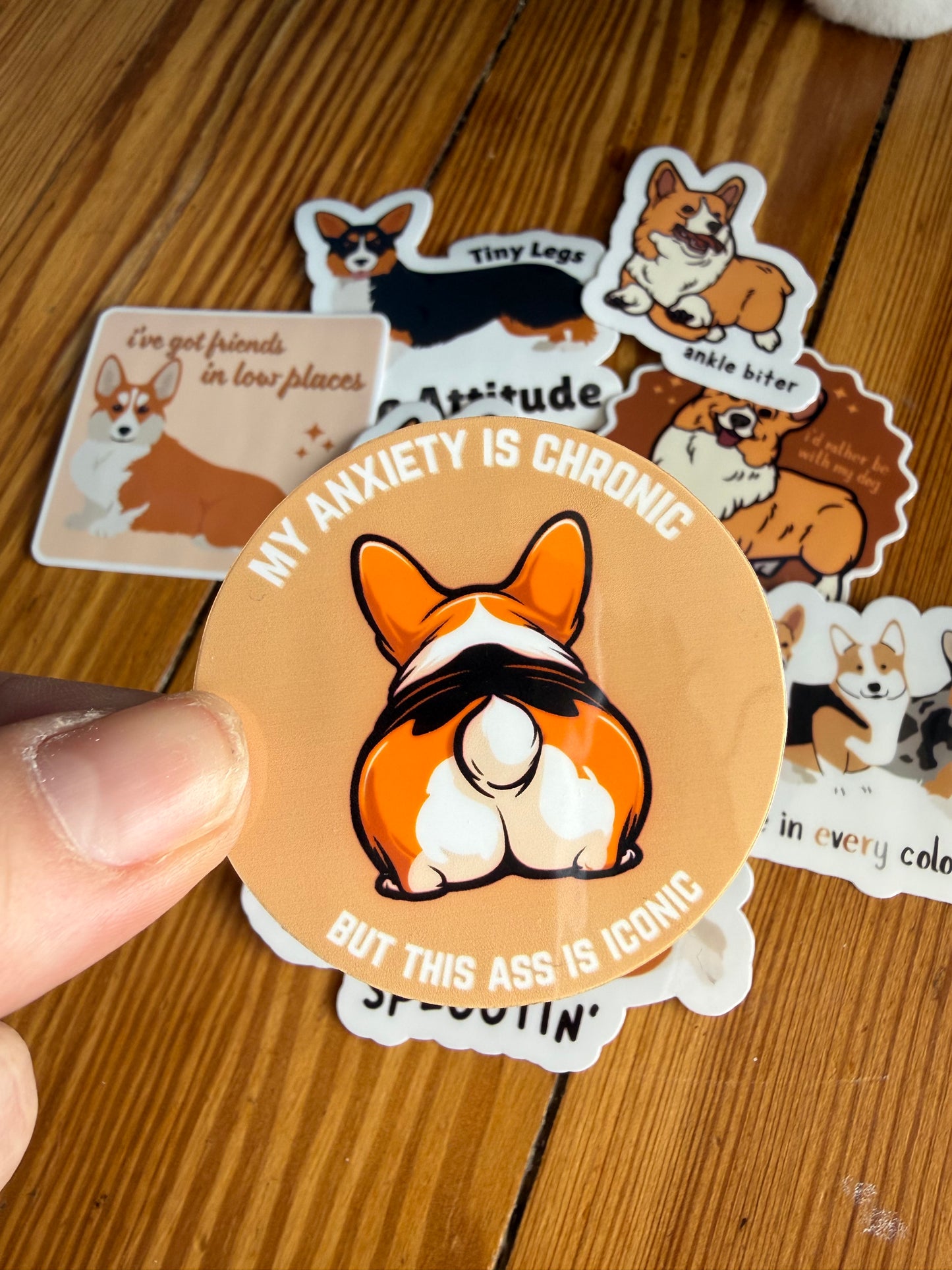"Chronic Anxiety/Iconic Ass": A hand holds a humorous sticker featuring a corgi’s backside with the text "My anxiety is chronic but this ass is iconic."