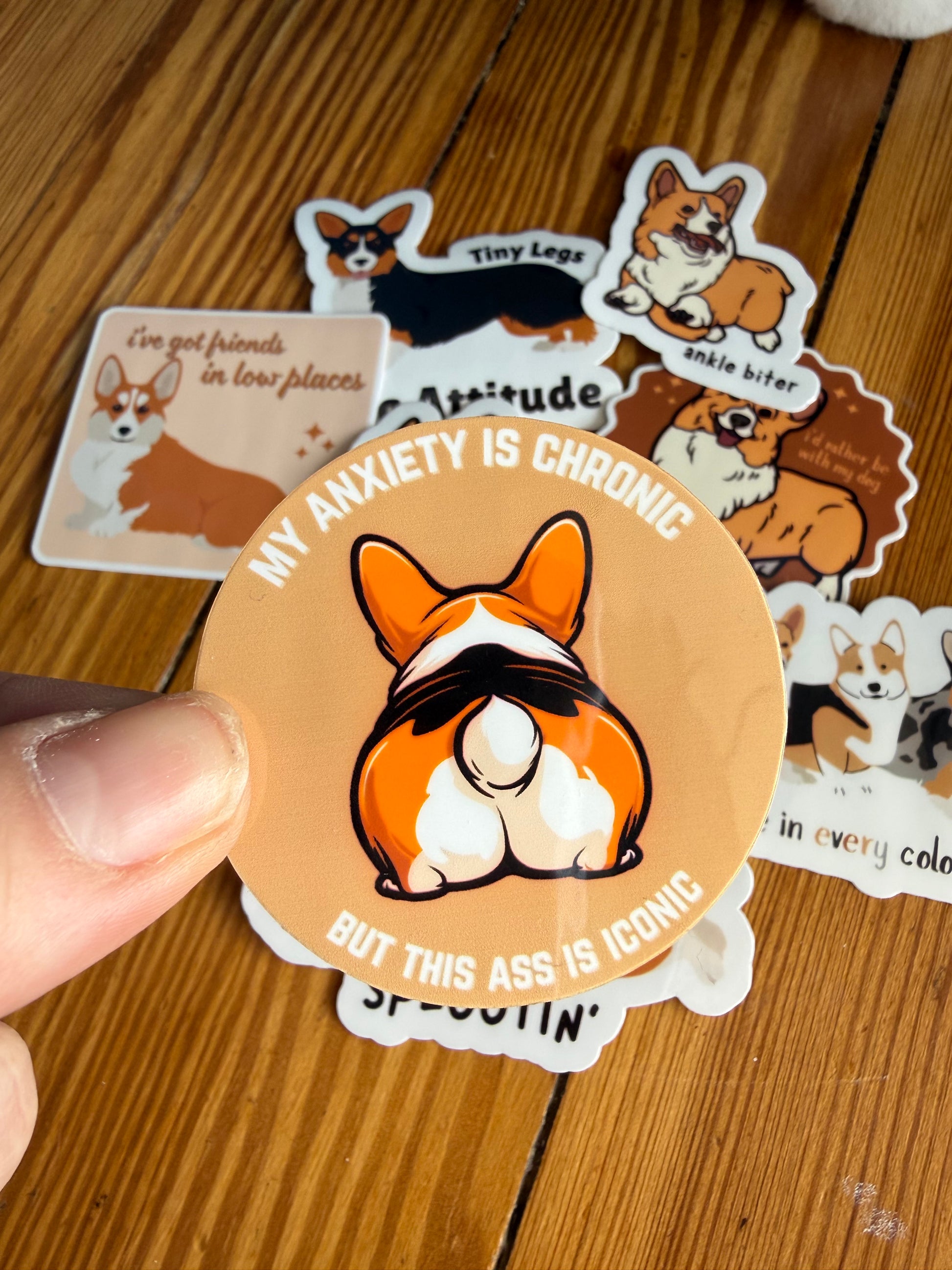 "Chronic Anxiety/Iconic Ass": A hand holds a humorous sticker featuring a corgi’s backside with the text "My anxiety is chronic but this ass is iconic."
