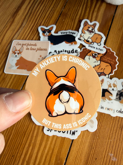 "Chronic Anxiety/Iconic Ass": A hand holds a humorous sticker featuring a corgi’s backside with the text "My anxiety is chronic but this ass is iconic."