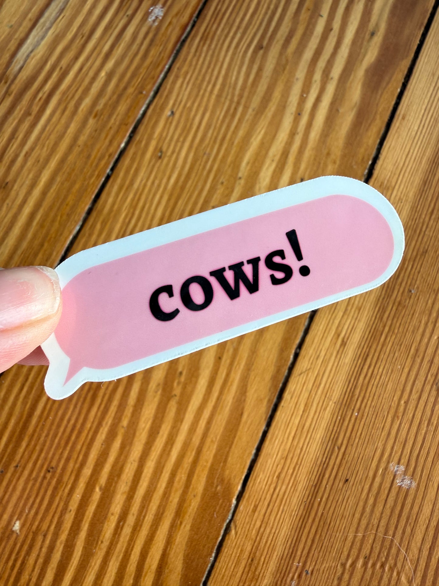 A person's hand holding a "Cows!" pink speech bubble sticker against a rustic dark wood background, showing the 2.7-inch scale and glossy finish of the vinyl decal.