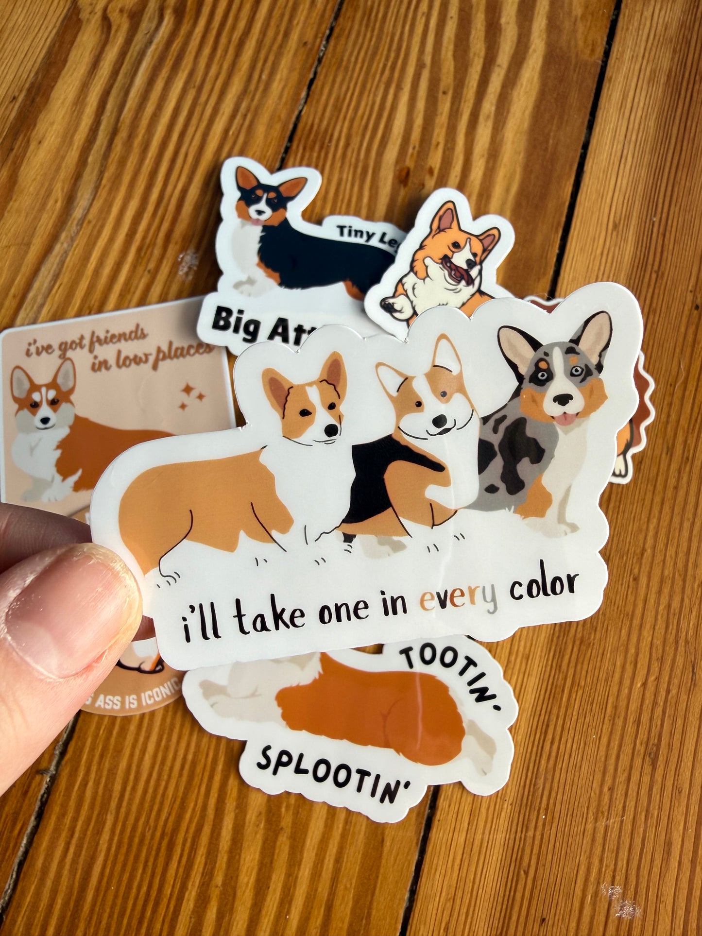 "One in Every Color": A hand holds a sticker featuring three corgis with different coat colors (red, tri-color, and sable) and the text "I’ll take one in every color."