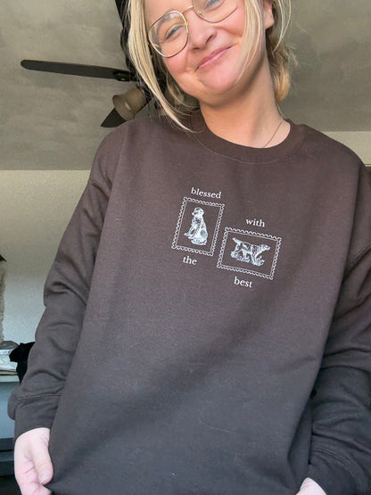 Person wearing a dark brown sweatshirt with Blessed with the Best text and dog stamp graphics. Perfect for fall dog walking outings or a cozy Thanksgiving with your favorite pups.