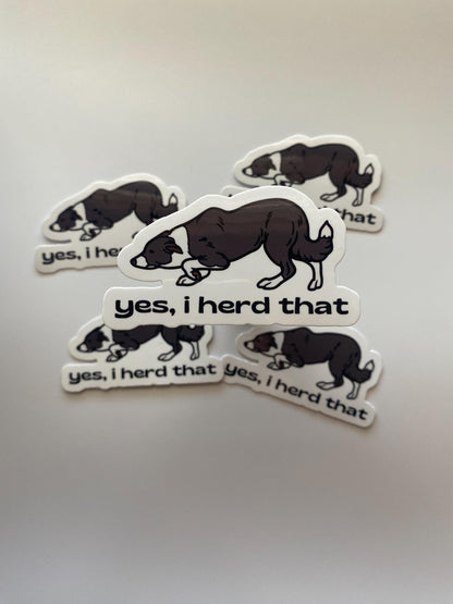 Yes I Herd That Border Collie Sticker